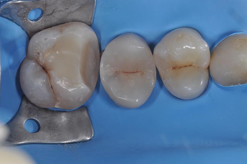 f2096a61.JPG