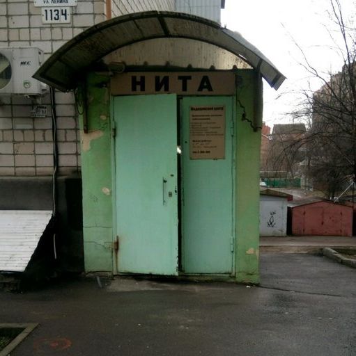 Нита - фотография