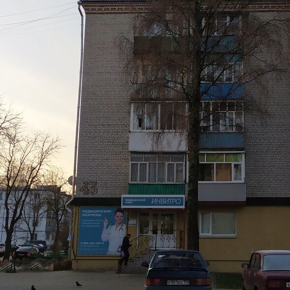 Инвитро - фотография