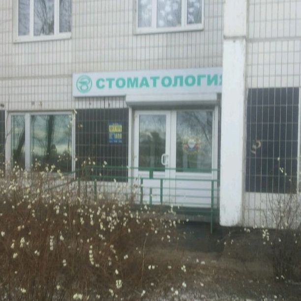 Янтарь - фотография