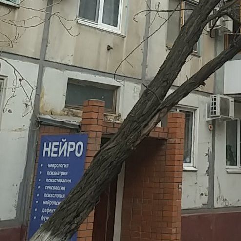 Нейро - фотография