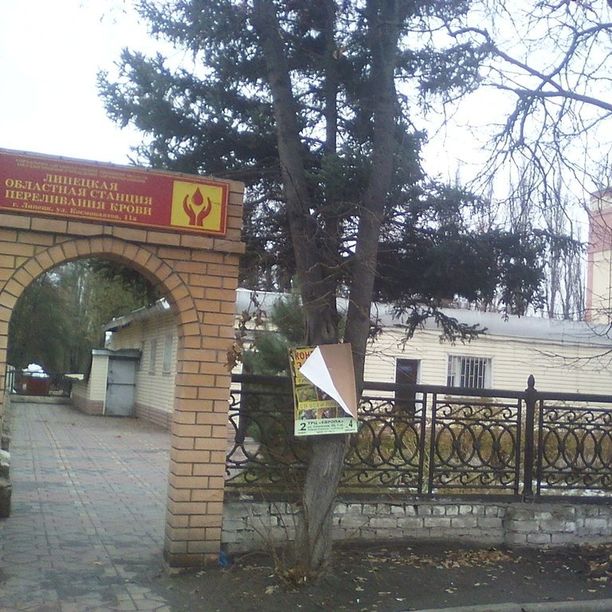 Липецкая областная станция переливания крови, фото