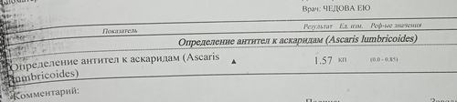 Необходимо лечение - фото №2