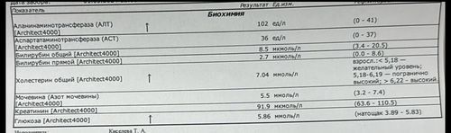 Повышен АЛТ - фото №1