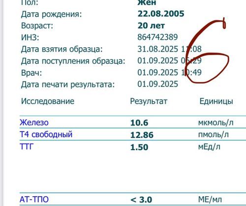 Кисты в щитовидке - фото №6