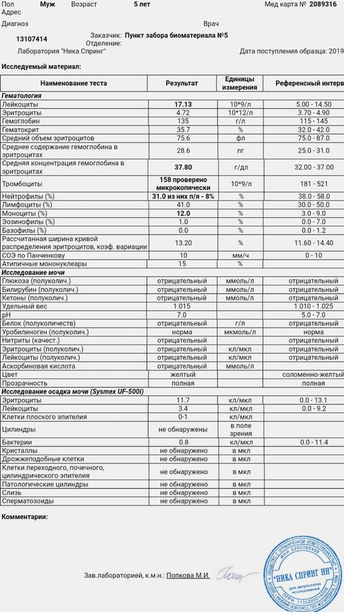 ВЭБ и цитомегаловирус - фото №2