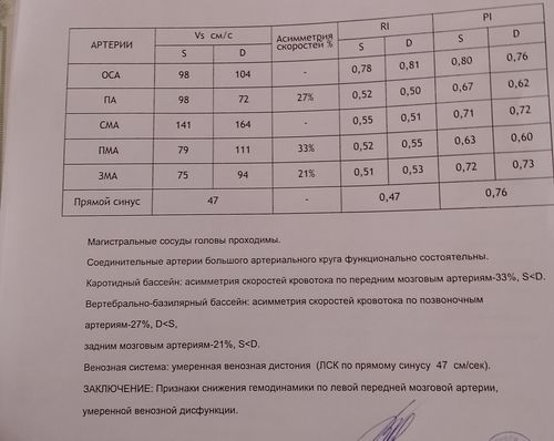 УЗИ сосудов шеи и головы - фото №1