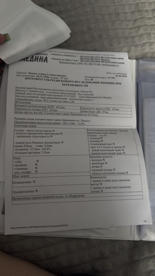 Внутриутробная инфекция - фото №1