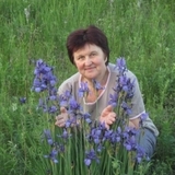 Козлито Марина Борисовна
