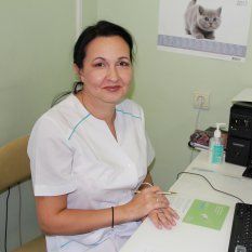 Иванова М.В. Новосибирск - фотография
