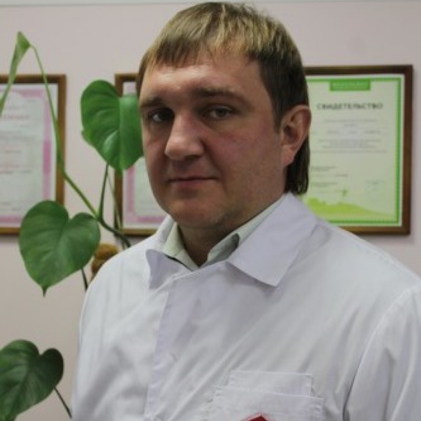 Нифантьев А.Д. Зеленогорск (Кр) - фотография
